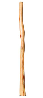 Natural Finish Flared Didgeridoo (TW1356)